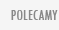  polecamy 