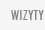  wizyty 